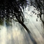 Seyr-ü Sefer, Bu Sefer Gemlik’e