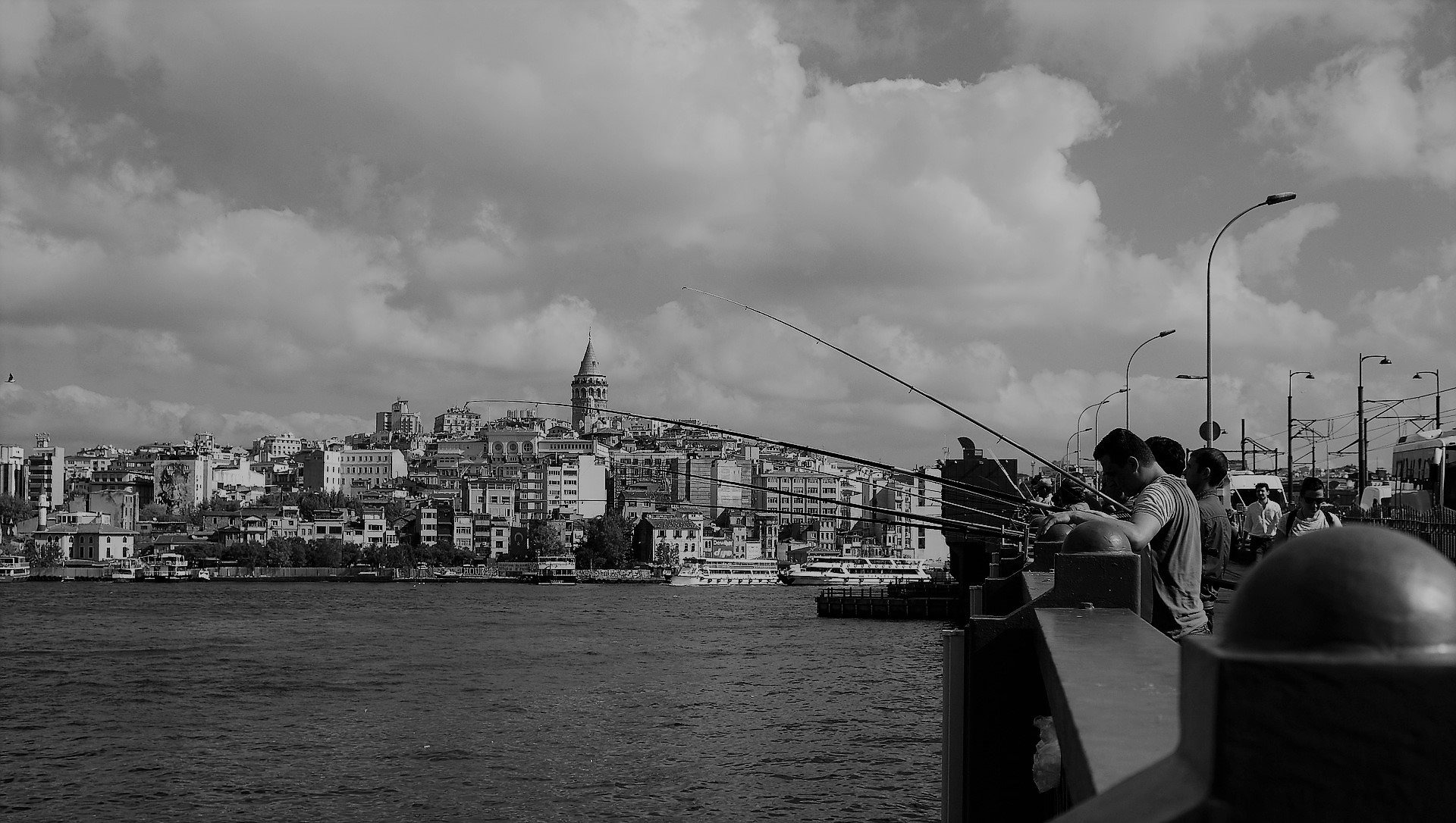 İstanbul'un Balıkları 1
